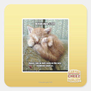 Kitteh härskar #231 fyrkantigt klistermärke