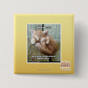 Kitteh härskar #231 knapp