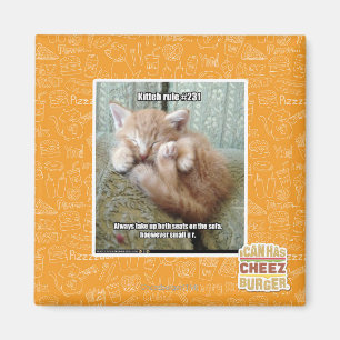 Kitteh härskar #231 magnet