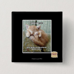 Kitteh-regel nr 231 knapp