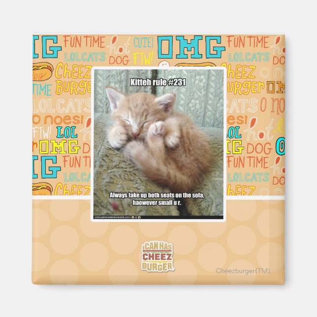 Kitteh-regel nr 231 magnet (Framsidan)