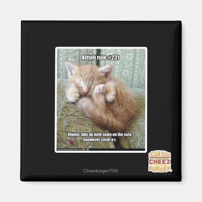 Kitteh-regel nr 231 magnet (Framsidan)