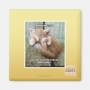 Kitteh-regel nr 231 magnet