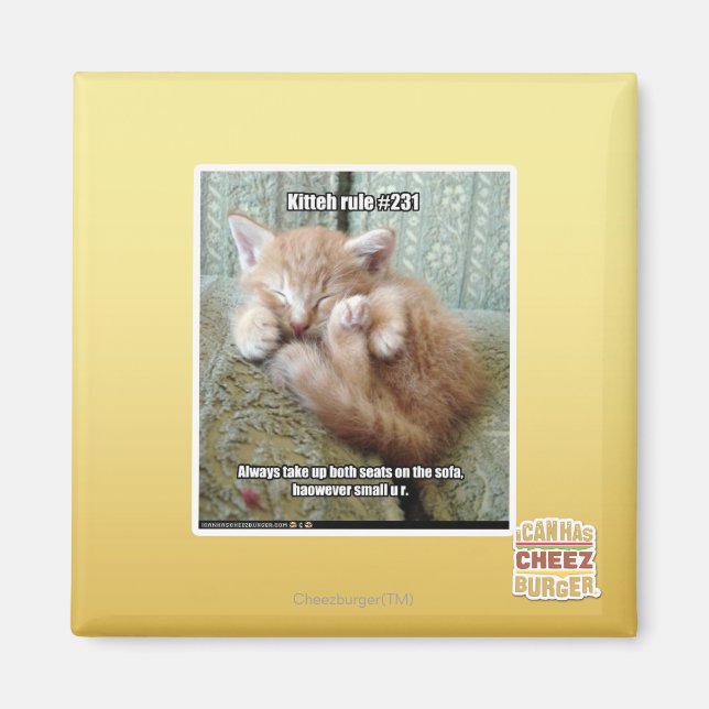 Kitteh-regel nr 231 magnet (Framsidan)