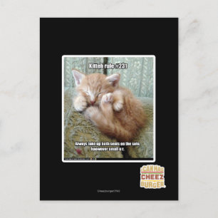 Kitteh-regel nr 231 vykort