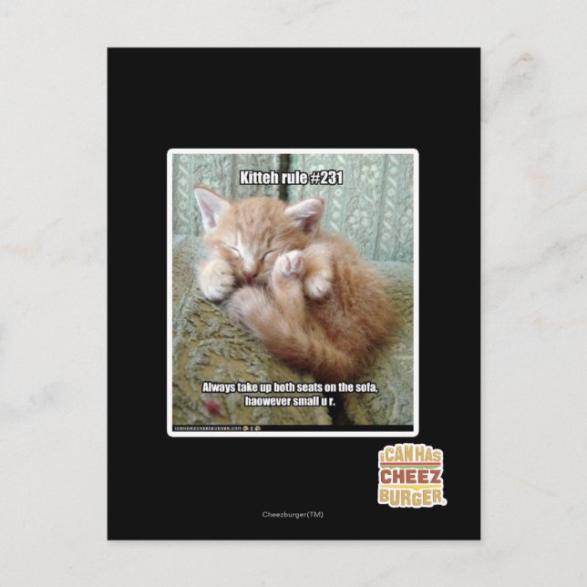Kitteh-regel nr 231 vykort (Framsida)
