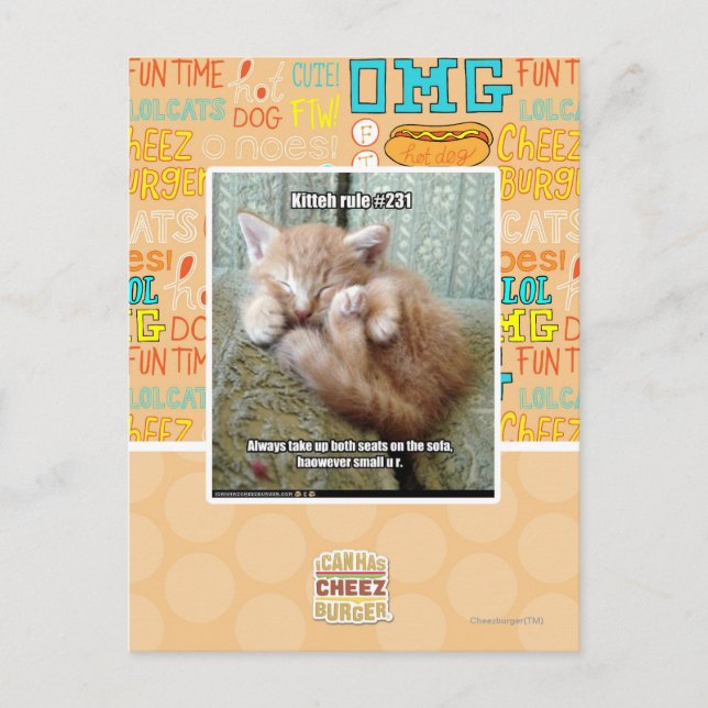 Kitteh-regel nr 231 vykort (Framsida)