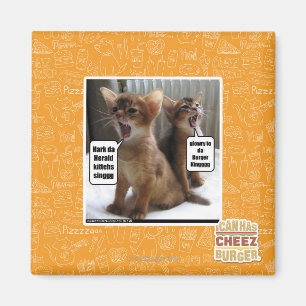 Kitteh sånger magnet