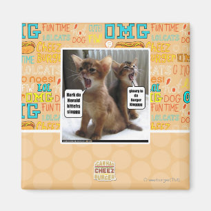 Kitteh sånger magnet