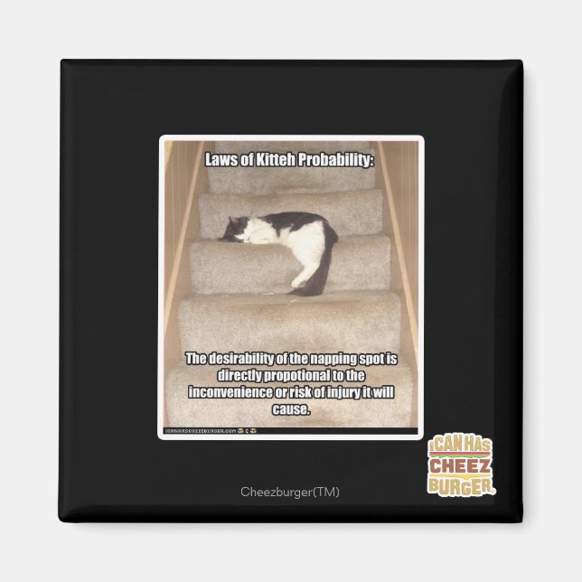 Kitteh-sannolikhetslagar Magnet (Framsidan)