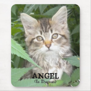 KITTEN = ANGEL, (i förklädnad) Musmatta