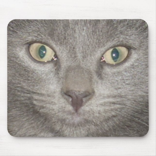 kitten ansikte2 mousepad-grått musmatta (Framsidan)