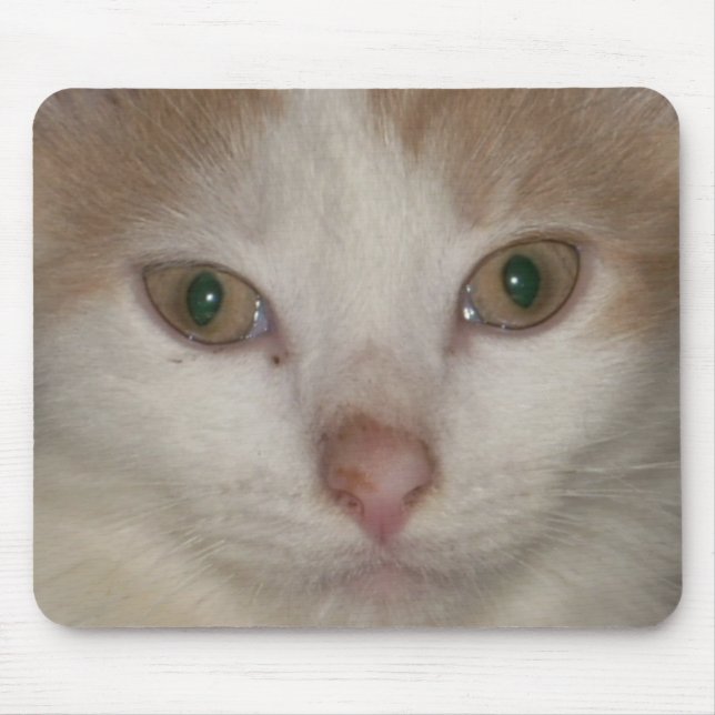 kitten ansikte 1 mousepad musmatta (Framsidan)