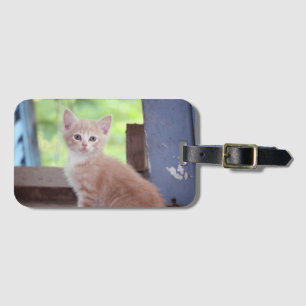 Kitten Bagagebricka