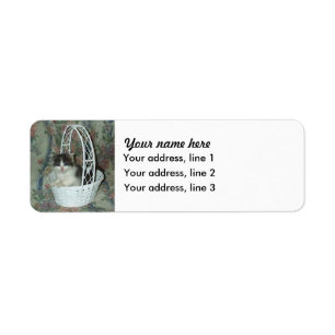 Kitten Basket Adressetiketters Returadress Etikett