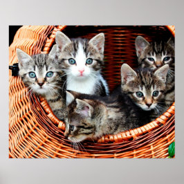 Kitten Basket Poster