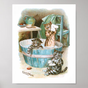 Kitten Bath av Louis Wain Poster