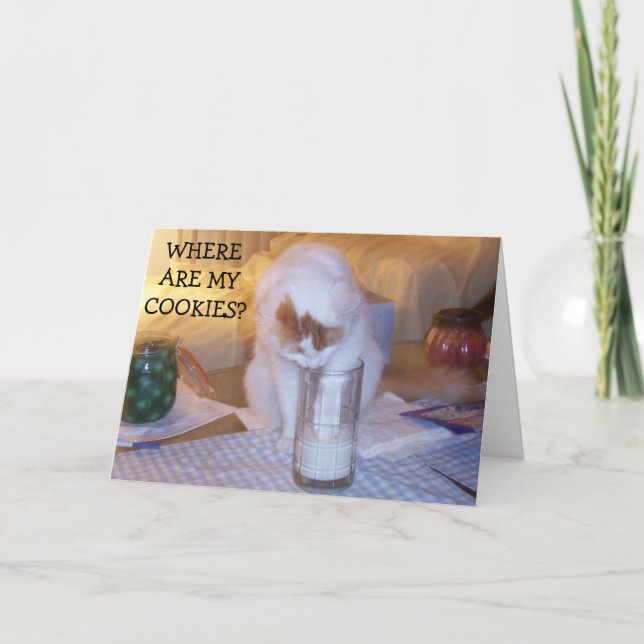 KITTEN BEHÖVER COOKIES/TILL WISH U GRATTIS PÅ FÖDE KORT (Framsida)