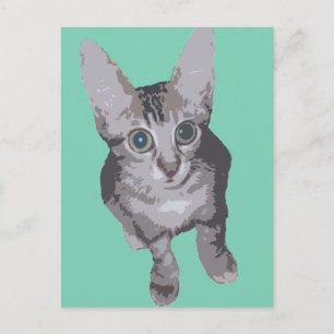 Kitten Big Ögon Pop Art Vykort