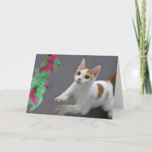 Kitten Birthday Card av Focus för en orsak Kort