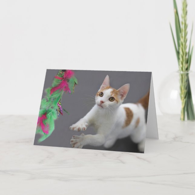 Kitten Birthday Card av Focus för en orsak Kort (Framsida)