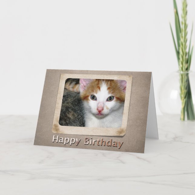 Kitten Birthday Card Kort (Framsida)