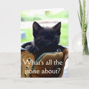 Kitten Birthday Card Kort