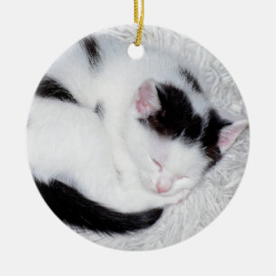 Kitten Black and White Sleeping Photo Julgransprydnad Keramik