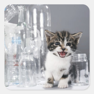 Kitten bland återvunnet flaskor och burk fyrkantigt klistermärke