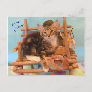 Kitten Borta Fishin' Postcard Vykort