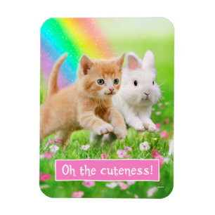Kitten & Bunny med Rainbow Magnet