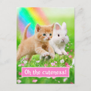 Kitten & Bunny med Rainbow Vykort