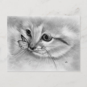 Kitten Butterfly-vykort Vykort