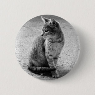Kitten Button Knapp