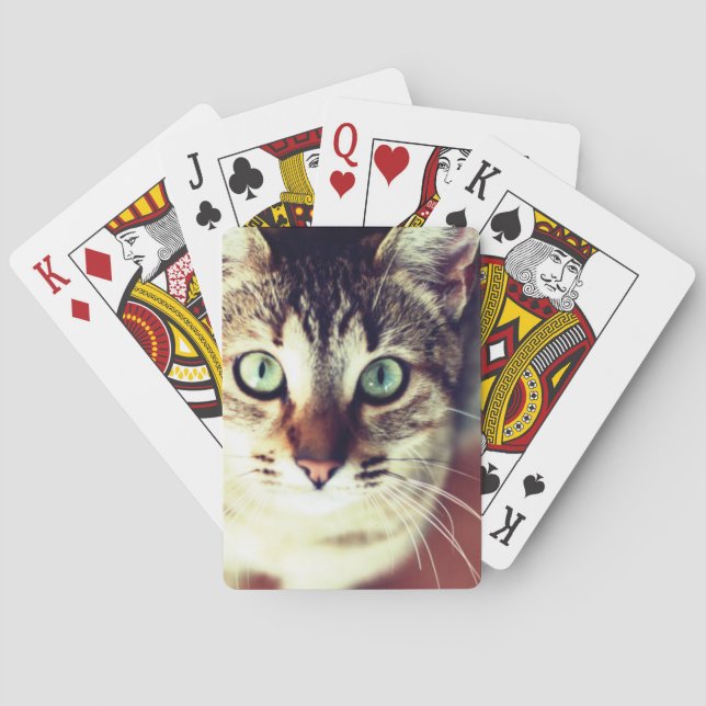 Kitten Casinokort (Baksidan)