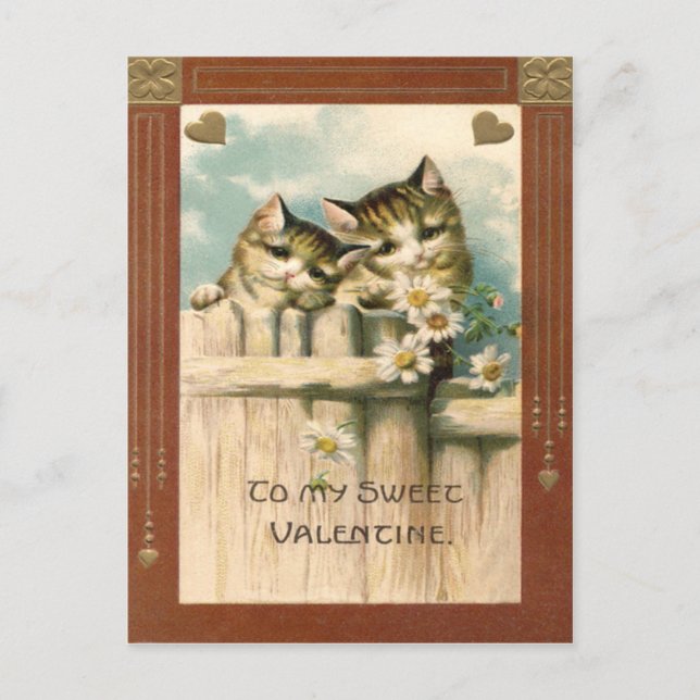 Kitten Cat Daisy Daisy Fence Vykort (Framsida)