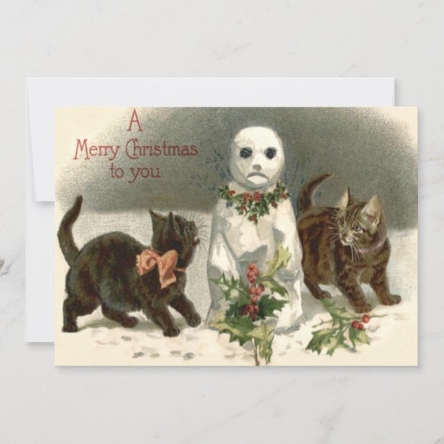 Kitten Cat Nyfiken Snögubbe Holly Wand (Framsida)