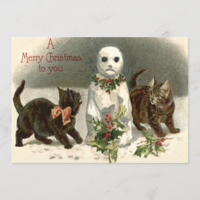 Kitten Cat Nyfiken Snögubbe Holly Wand (Framsida)