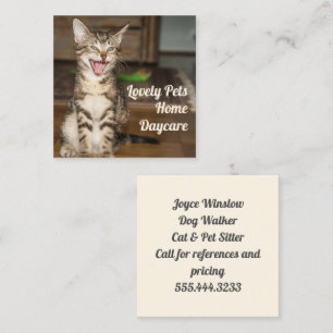 Kitten Cat Pet Sitter Square Affärskort Fyrkantigt Visitkort