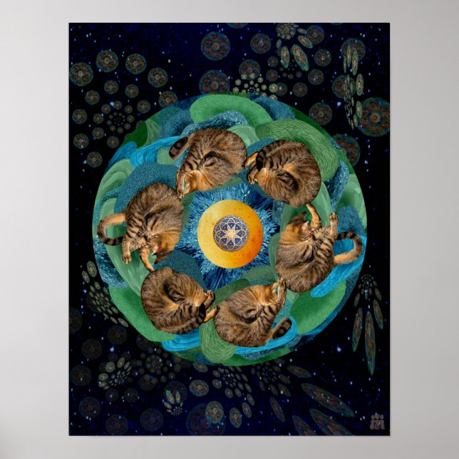 Kitten Cosmos (Felis catus nebula) Poster (Framsidan)