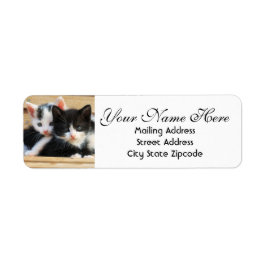 Kitten Couple Returadress Returadress Etikett