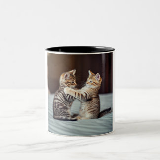 Kitten Cuddle Coffee Mugg