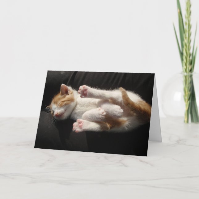 Kitten Cuteness Card Tack Kort (Framsida)