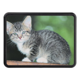 Kitten Dragkroksskydd