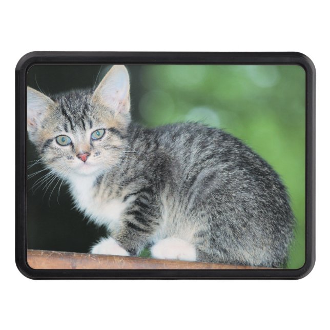 Kitten Dragkroksskydd (Framsidan)