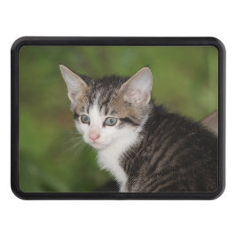 Kitten Dragkroksskydd