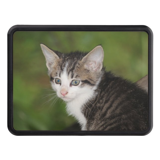 Kitten Dragkroksskydd (Framsidan)