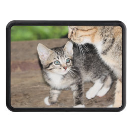 Kitten Dragkroksskydd