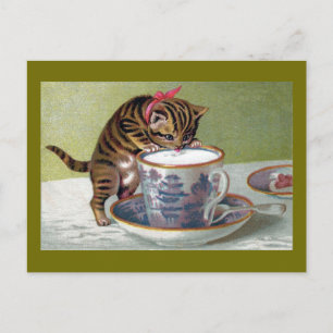 Kitten Drinking från Tekopp Victorian Vykort