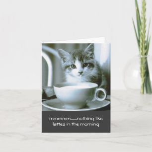 Kitten Drinking Morgonprojektionskort Kort